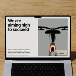 Brand Identity And Website Design For Ask Phill cover image