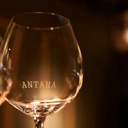 Brand Identity And Naming For An Avant-garde Bakery And Restaurant cover image