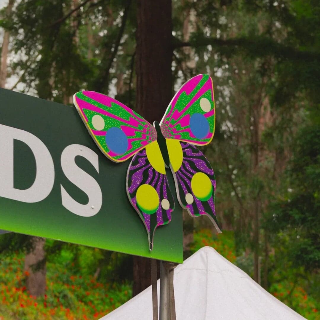 Brand Identity Refresh For Stern Grove Festival