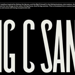 Brand Identity For Big C Charters cover image