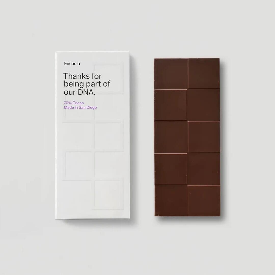 Brand Identity And Environmental Design For Encodia