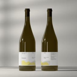 Brand Identity And Packaging For Xocoa Chocolate Boutiques cover image