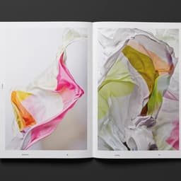 Promotional Campaign For Silk—hd Premium Paper cover image