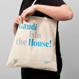 Brand Identity For Casa Vicens Museum cover image