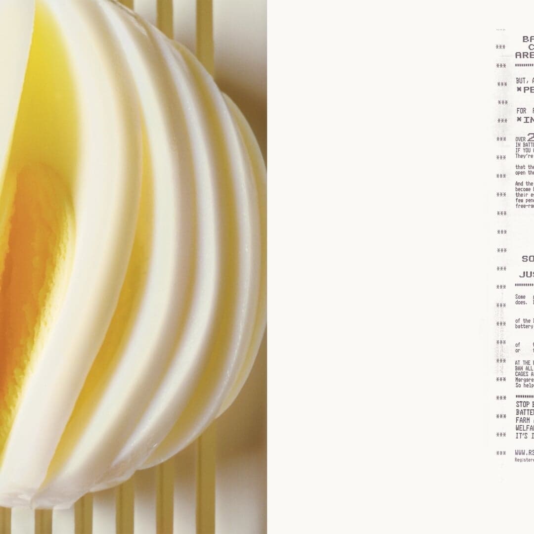 Advertising Campaign For Rspca Free-range Eggs