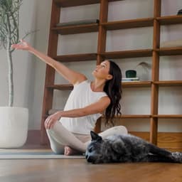 Brand Identity For Raptive cover image