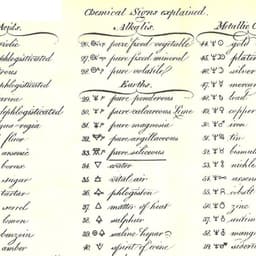 Visual Identity For Rooted Juicery cover image