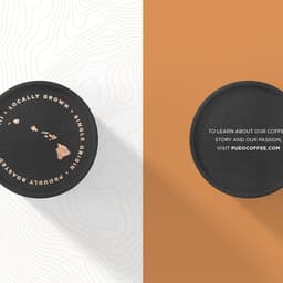 Brand Identity For Pueo Coffee Roasters cover image