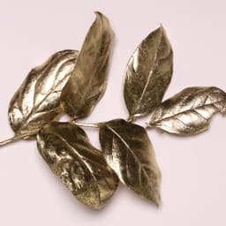 E-commerce Website Design For Gold Apple cover image