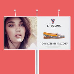 Brand Identity Redesign For Tervolina Footwear Retailer cover image