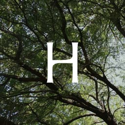 Bespoke Visual Identity For Norwegian Carpentry Brand Hamran cover image