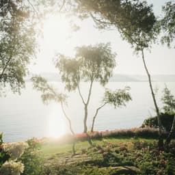 Brand Identity And Website Design For Flor & Fjære cover image