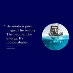 Website And App Development For Winnow cover image