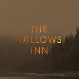 Visual Identity For Osito Restaurant cover image