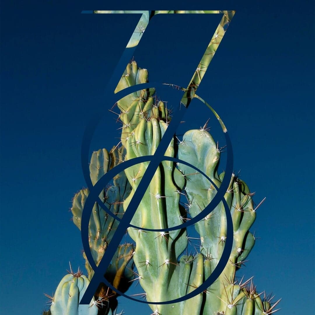 Brand Identity And Packaging For 760 Skin