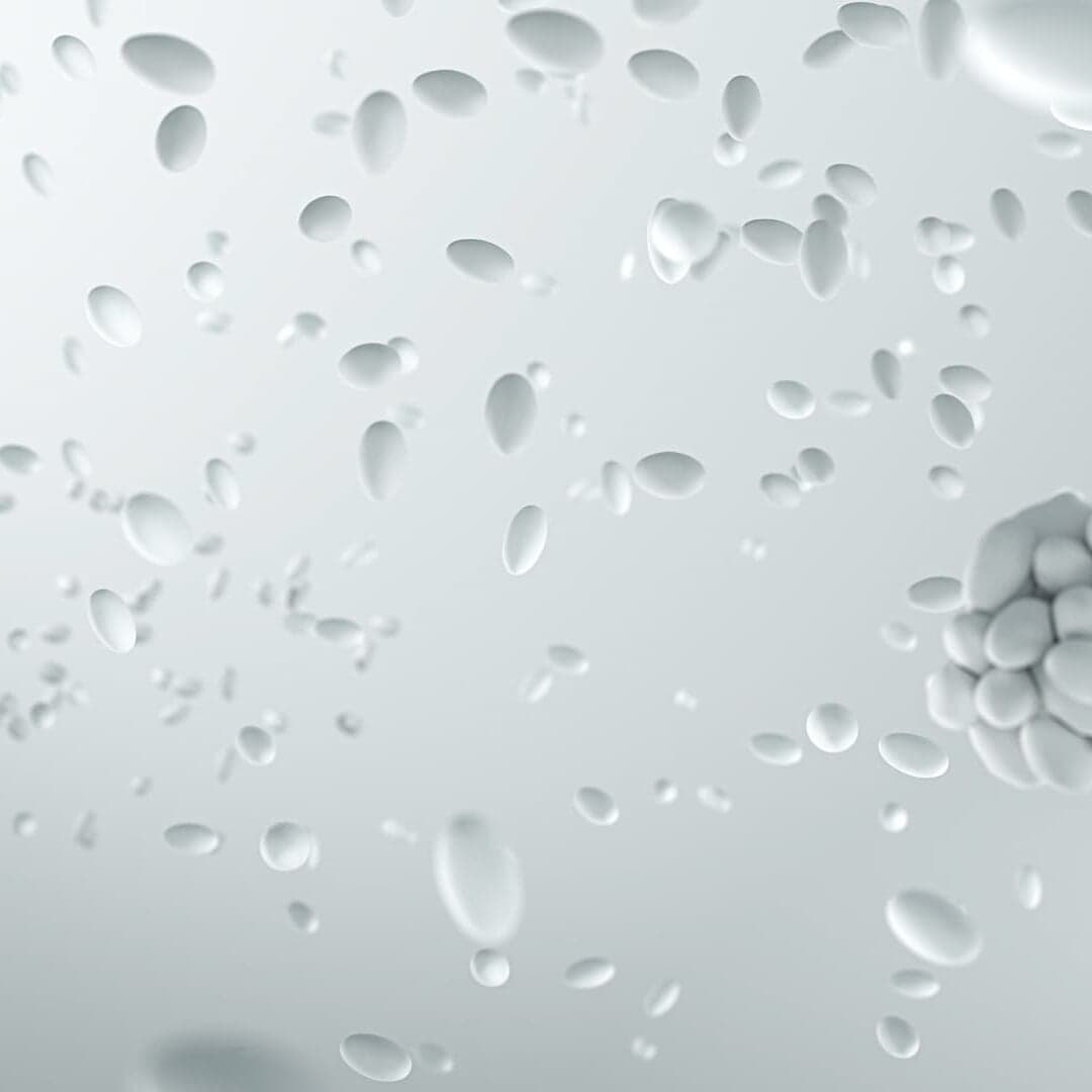 Motion Design For Adidas Ultraboost Campaign