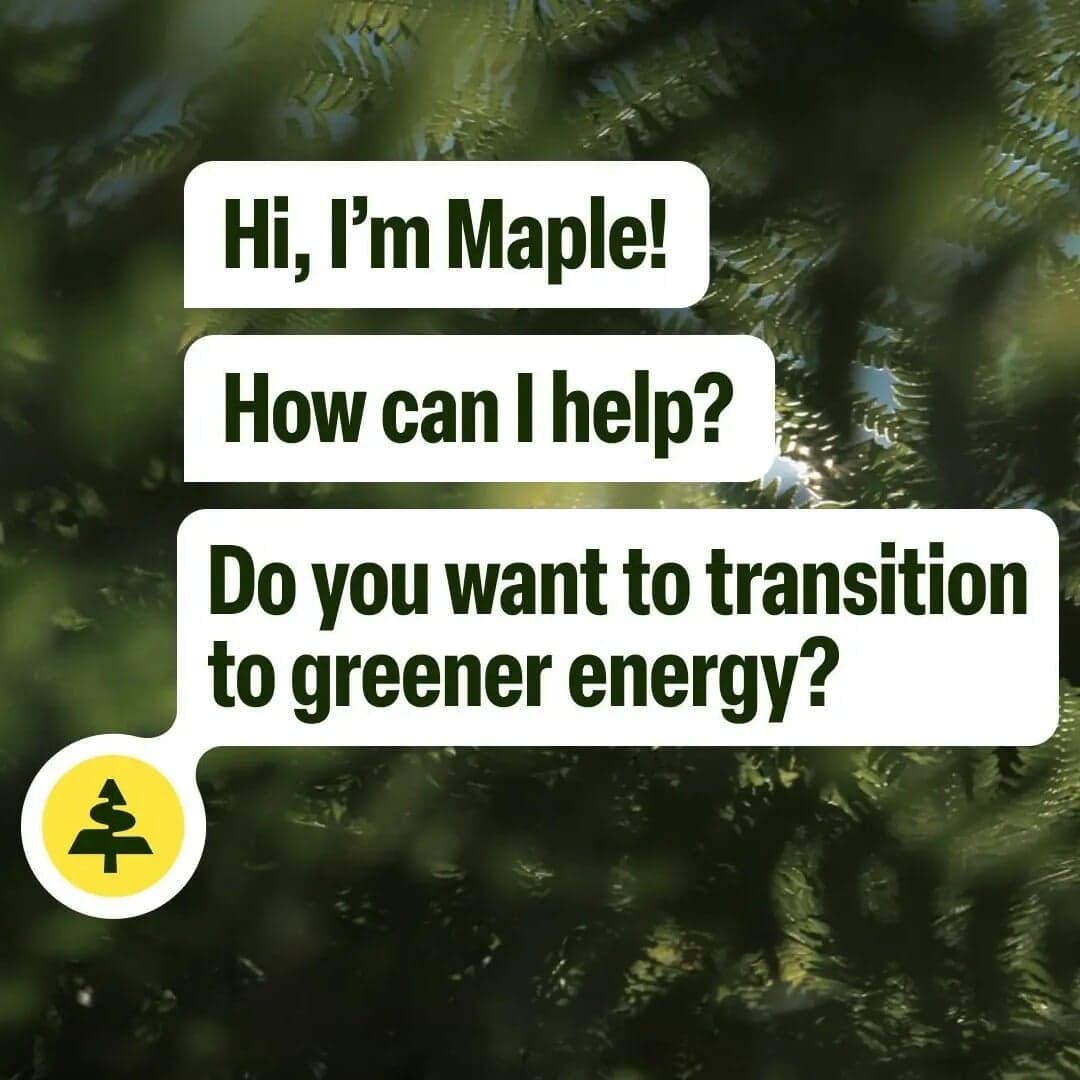 Campaign Identity And Animation For Seaforester