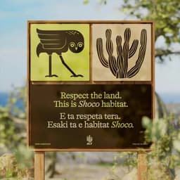 Rebrand And Website For Aruba Conservation Foundation cover image