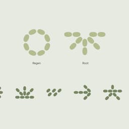 Brand Identity And E-commerce Website For Imio cover image