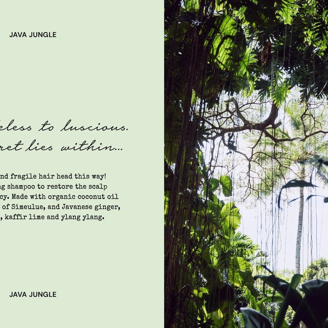 Global Rebrand And Packaging Design For Postcard Beauty