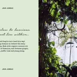 Global Rebrand And Packaging Design For Postcard Beauty cover image