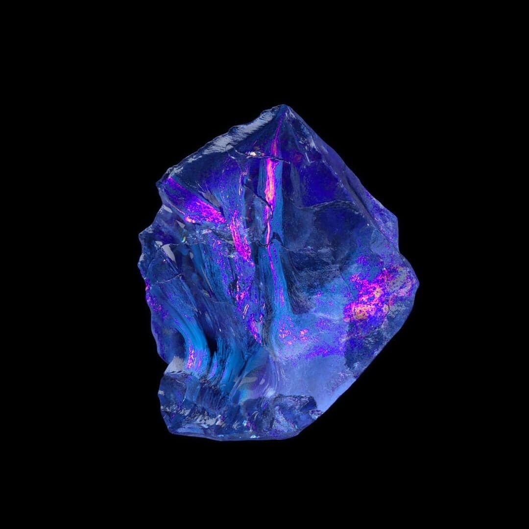 Motion Ident For Warp Films