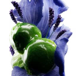 3d Sculptural Visuals For L'oréal Metal Detox cover image