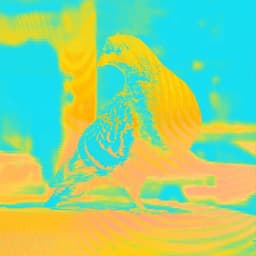 Festival Identity And Campaign For The Governors Ball Music Festival cover image