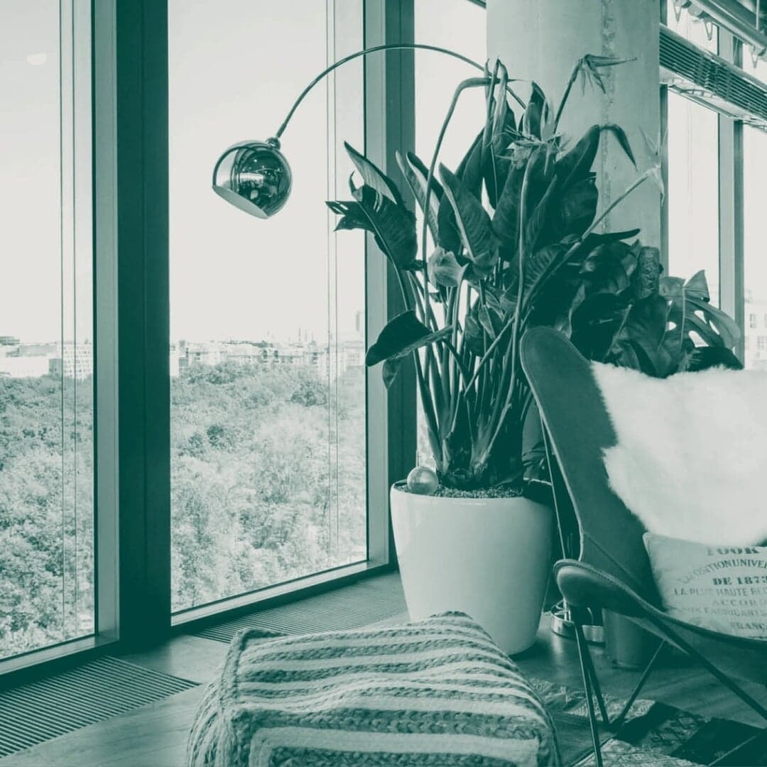 Brand Identity For Soho Form