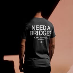 Brand Identity For Holograph Digital Art Platform cover image