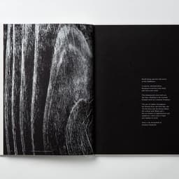 Editorial Book Design For The Pavilia Hill Residence cover image