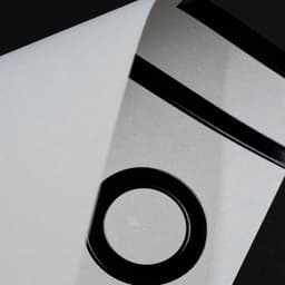 Avant-garde Logo Design For House Of Wang cover image