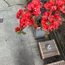 Visual Identity For The Drawing Room & Bar At St. Regis Hong Kong cover image