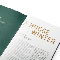 Branding And Visual Identity For The Forest Mall cover image