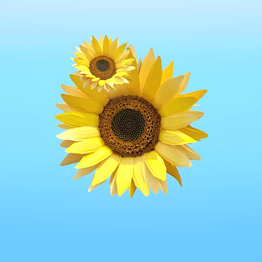 Promotional Animation For Sogo Hong Kong Summer Festival