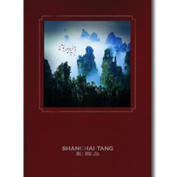 Advertising Campaign And Catalogue For Shanghai Tang cover image
