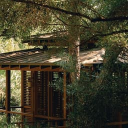 Architectural Identity For Le Grillon Retreat cover image