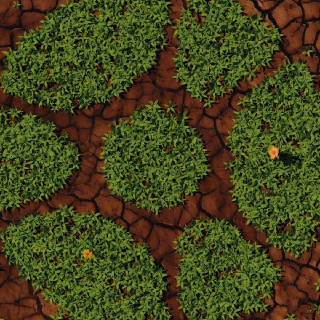 Brand Identity And Website For A Soil Regeneration Company