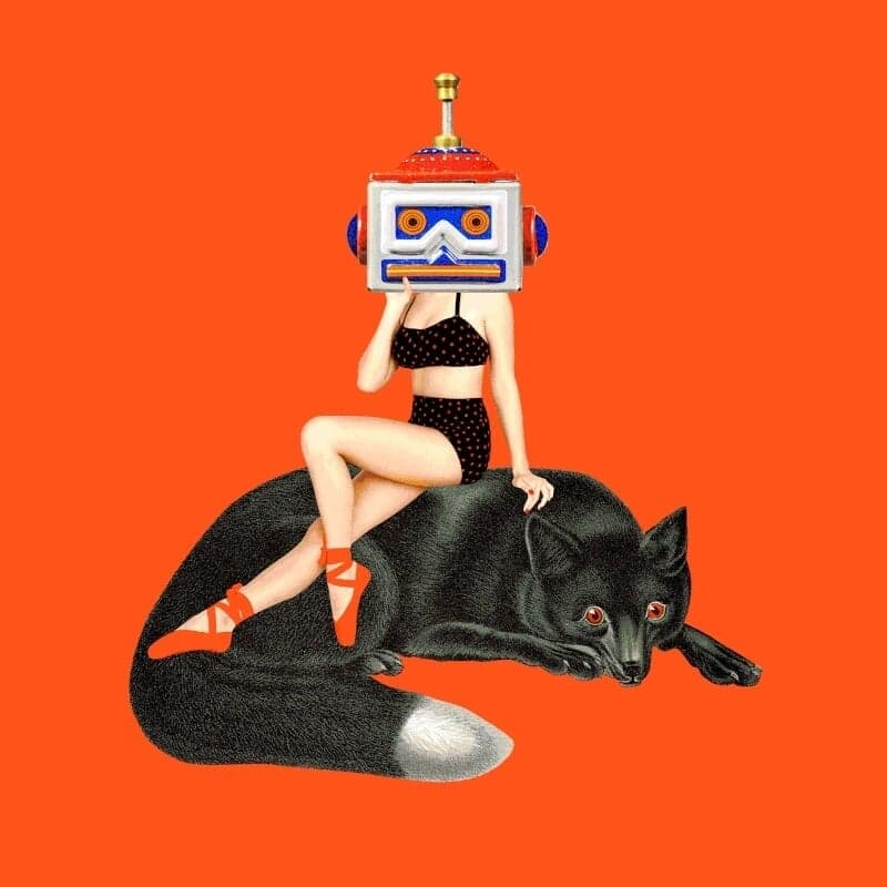 Naming And Brand Identity For Baboon Travel Bags