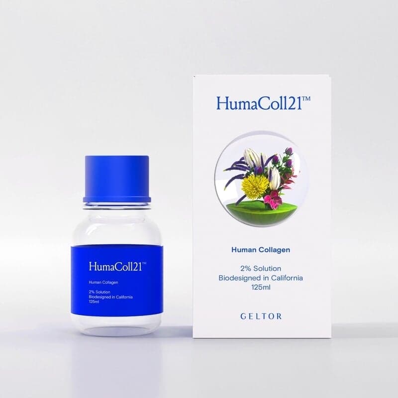 Brand Identity For A Sustainable Biodesign Company