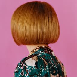 Advertising Campaign For Masterclass Featuring Anna Wintour cover image