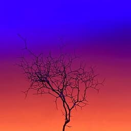 Lighting Design for Helios cover image