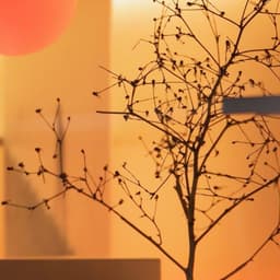 Lighting Installation for Space Oddity - thumbnail 1