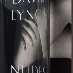 Book Design For David Lynch Nudes cover image