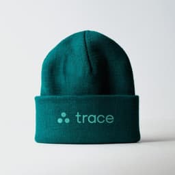 Brand Identity And Website Design For Trace Ai Sports Platform cover image