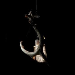 Brand Identity And Website For Michelin-starred Restaurant Aska cover image