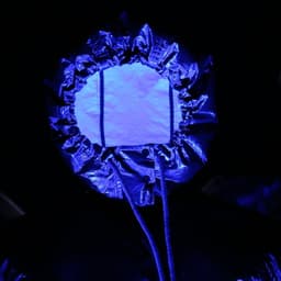 Immersive Installations For Montreal Museum Of Fine Arts cover image