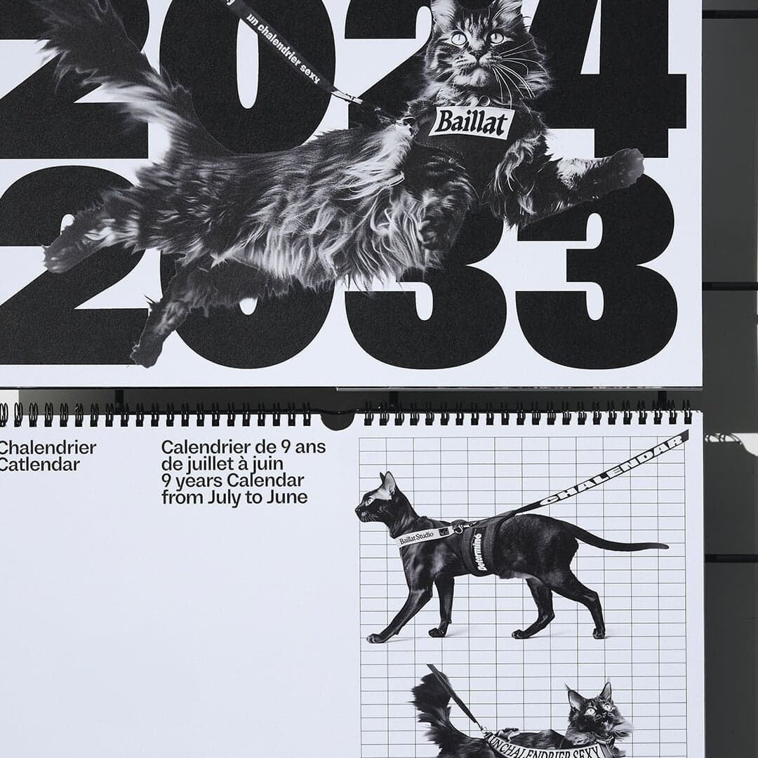 Print Design For Catlendar 2024