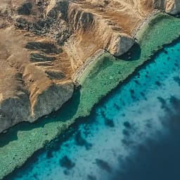 Change Management Strategy For Neom Urban Planning Teams cover image