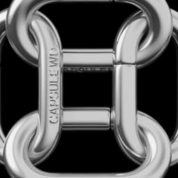 Capsule WD - Bandit® design work cover image